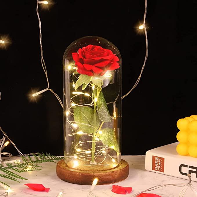 8ce3e488-ff80-49bd-9874-d95822e5bec8