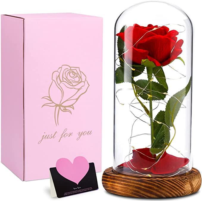 95b5638c-45e8-417d-b170-1f9efd0c18a1