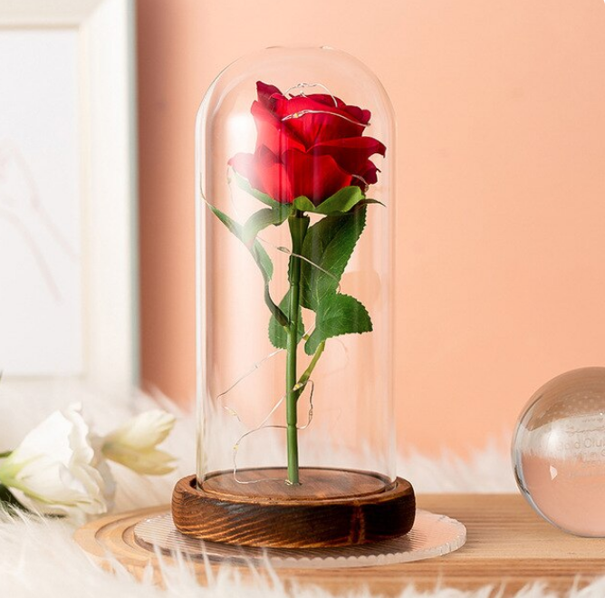 a69980c7-cbf5-4a9c-b756-01fb1f7ab991