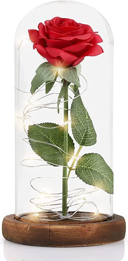 cb6dfb6f-5a9b-4b9e-ac61-232f010b8d05