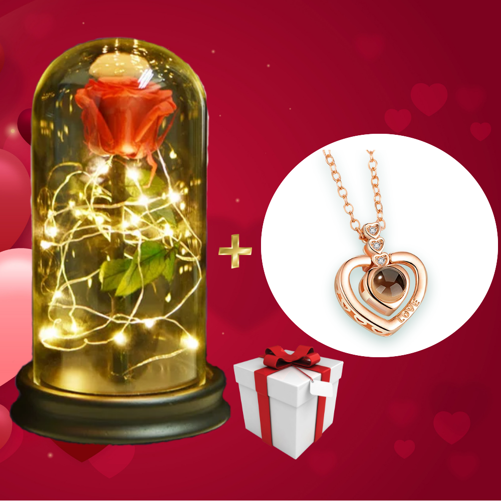 dae41459-0c6c-4128-8b89-926ead885c72